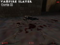 Half-Life: Vampire Slayer