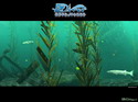 Diver: Deep Water Adventures