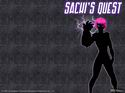Sachi's Quest