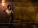 The Shadow of Aten
