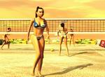 Sunshine Beach Volleyball
