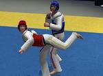 Tae Kwon Do World Champion