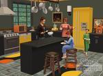 The Sims 2: Best of Business Collection