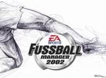 Fussball Manager 2002